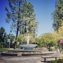 Fresno State Scholarships